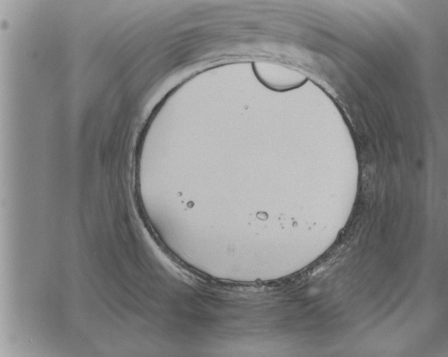 X0000066941523200604211737