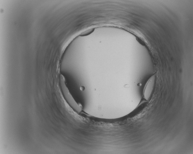 X0000066941524200604211737