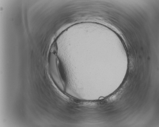 X0000066941525200604211737