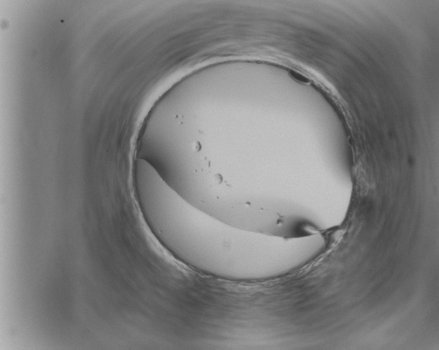 X0000066941528200604211737