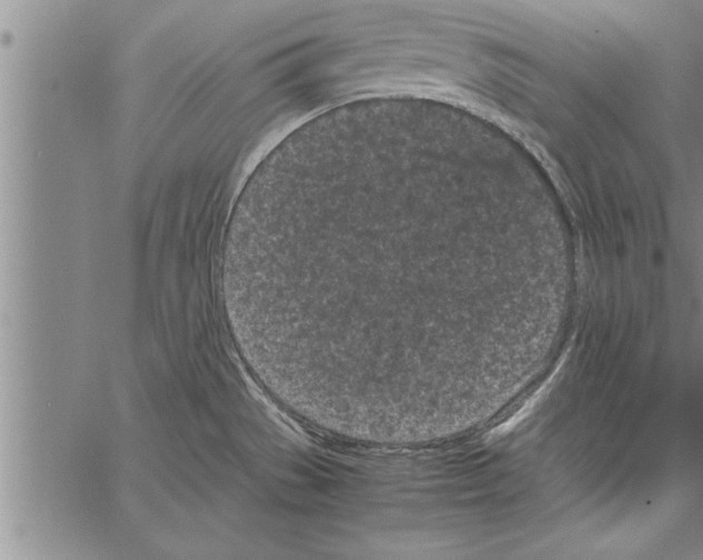 X0000066941529200604211737