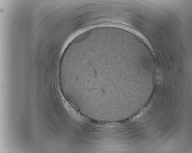 X0000066941530200604211737