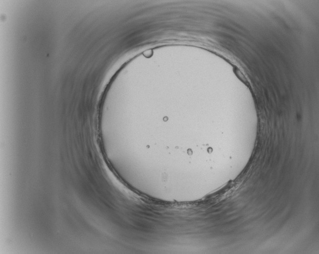 X0000066941531200604211737