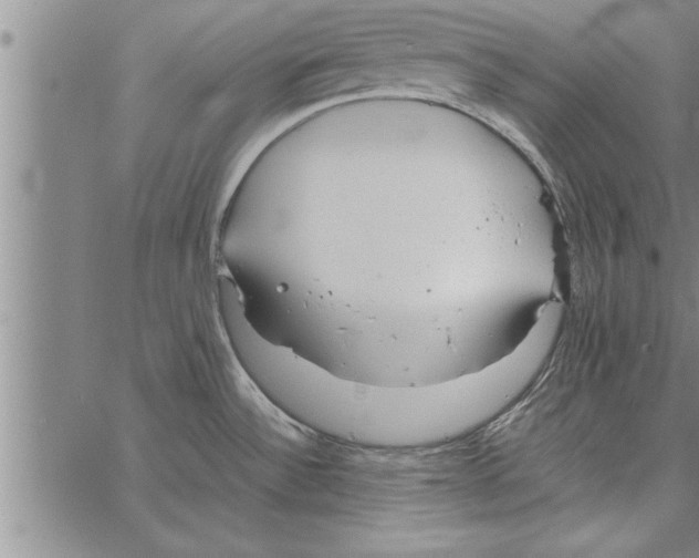 X0000066941532200604211737