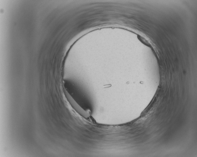 X0000066941534200604211737