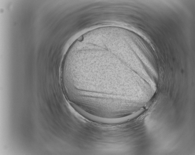 X0000066941535200604211737