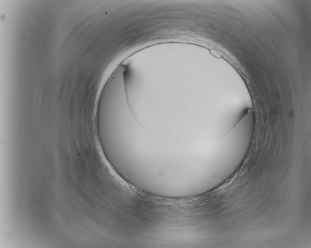 X0000066941536200604211737