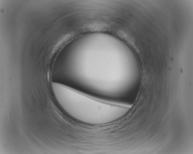 X0000066950019200603240922