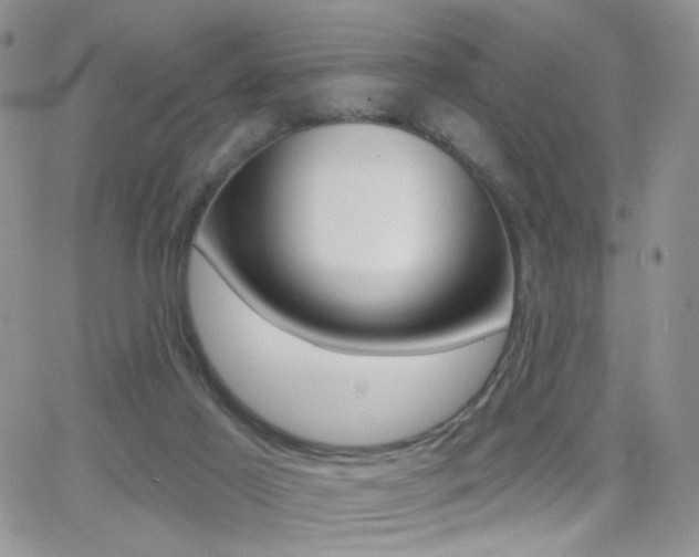 X0000066950021200603240922