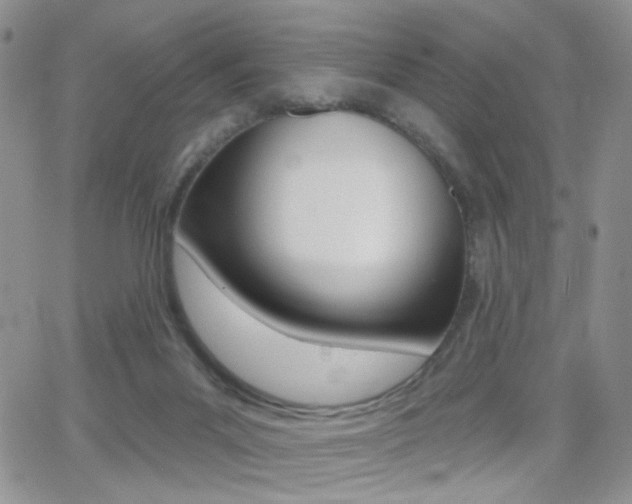 X0000066950023200603240922