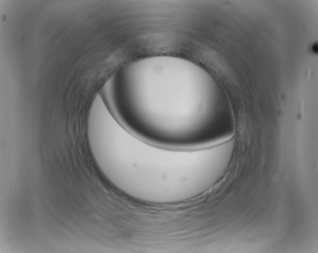 X0000066950025200603240922
