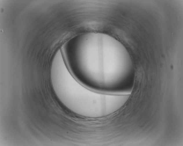 X0000066950027200603240922