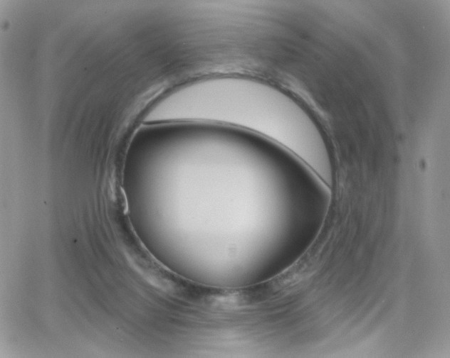 X0000066950068200603240921