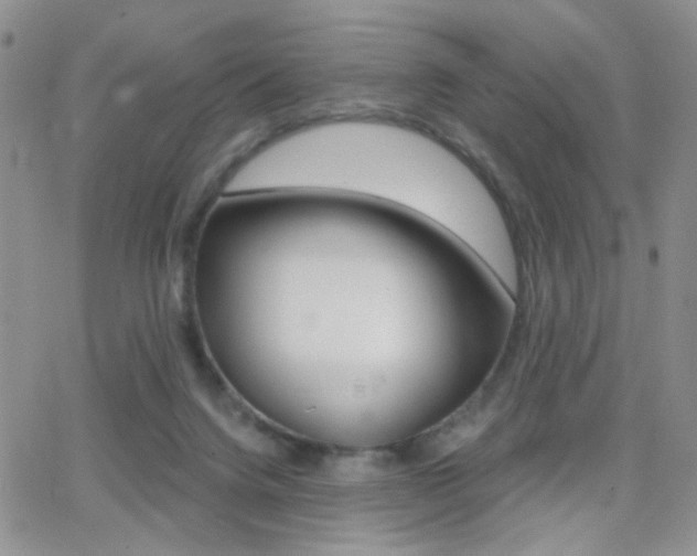 X0000066950072200603240921
