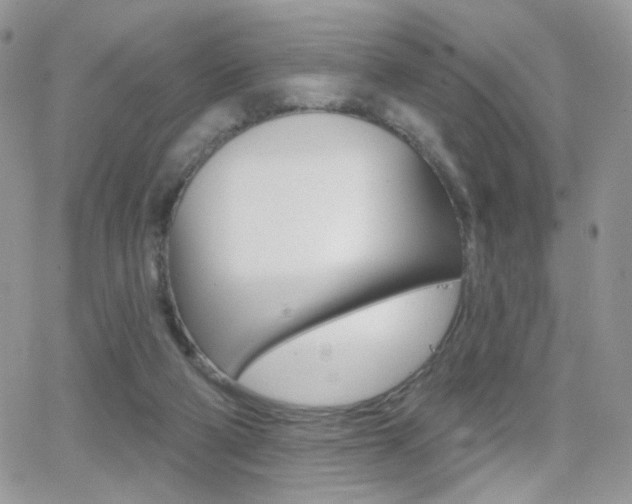 X0000066950114200603240920