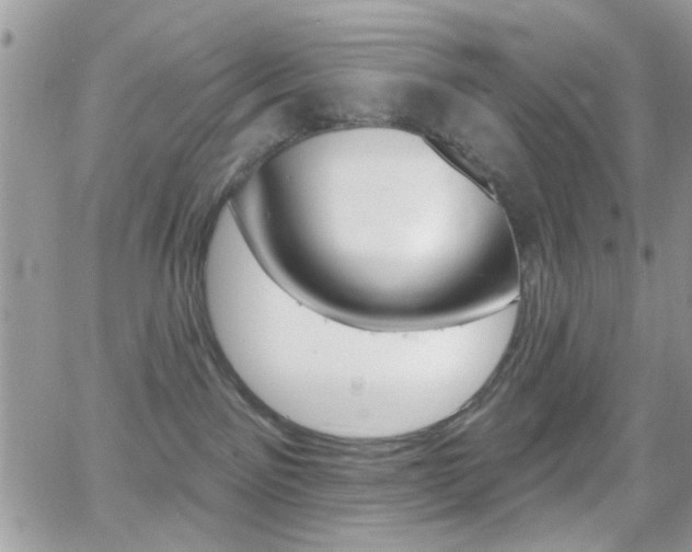 X0000066950141200603240920