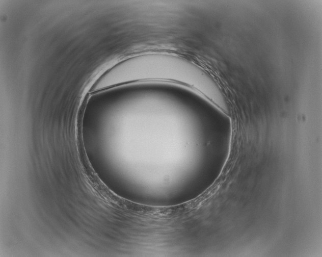 X0000066950148200603240919