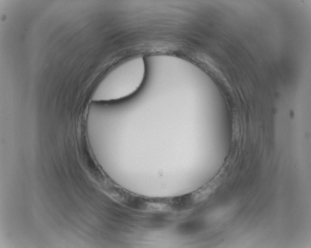 X0000066950167200603240919