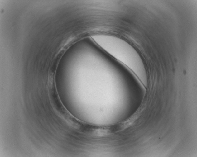 X0000066950168200603240919