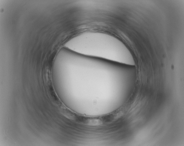 X0000066950169200603240919