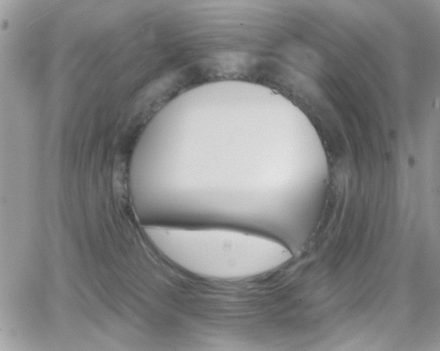 X0000066950181200603240919