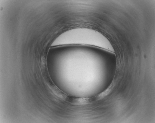 X0000066950184200603240919
