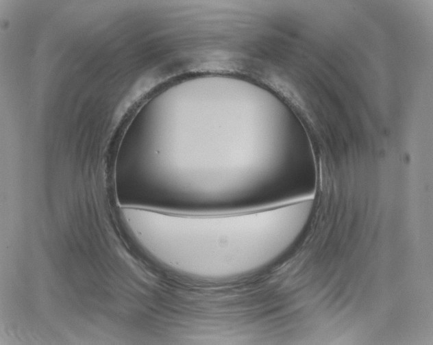 X0000066950204200603240919