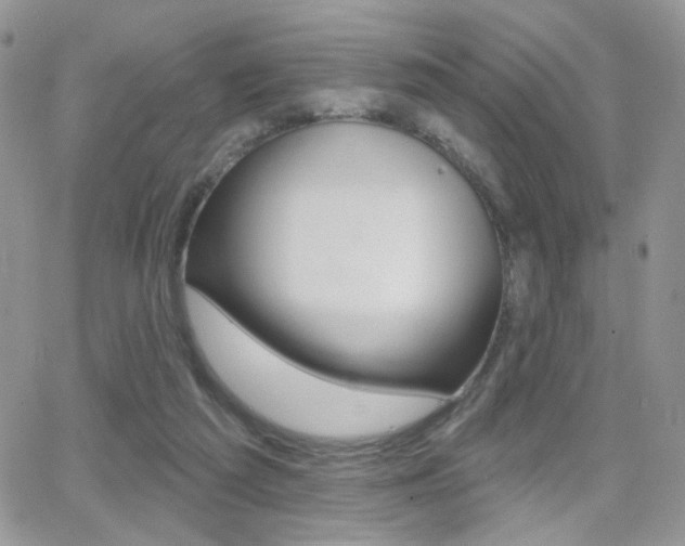 X0000066950209200603240919