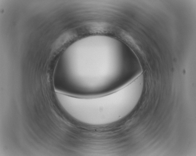 X0000066950211200603240918