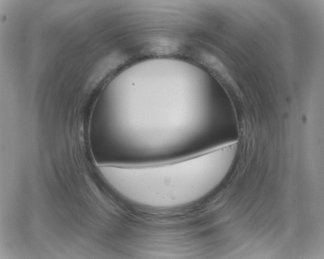 X0000066950212200603240918