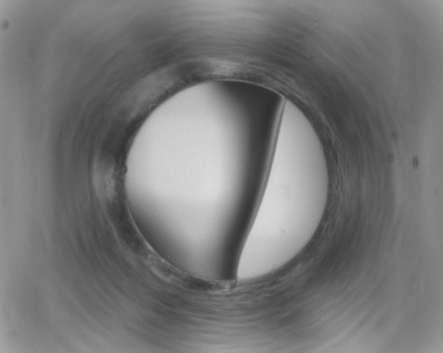 X0000066950216200603240918