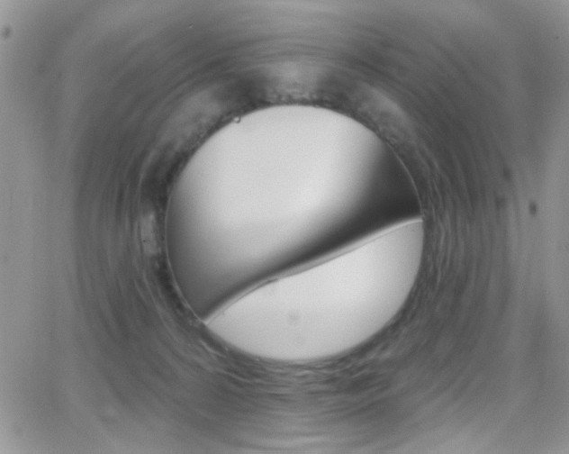 X0000066950224200603240918