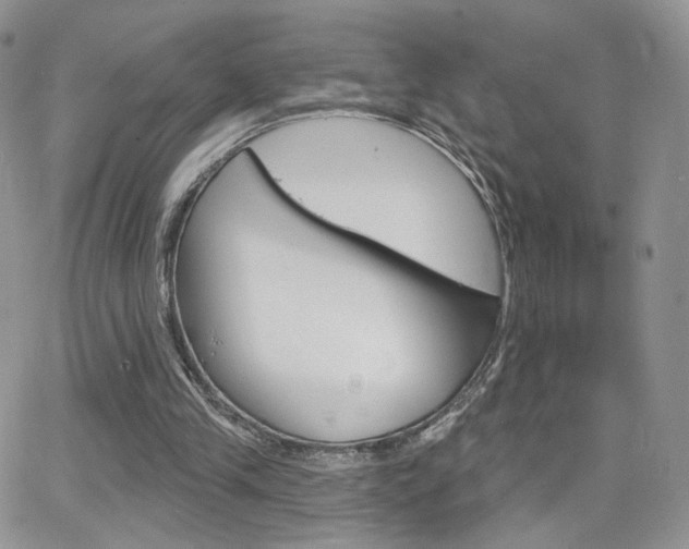 X0000066950245200603240917