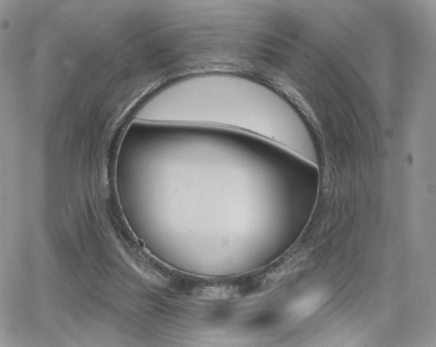 X0000066950251200603240917
