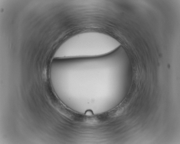 X0000066950262200603240918