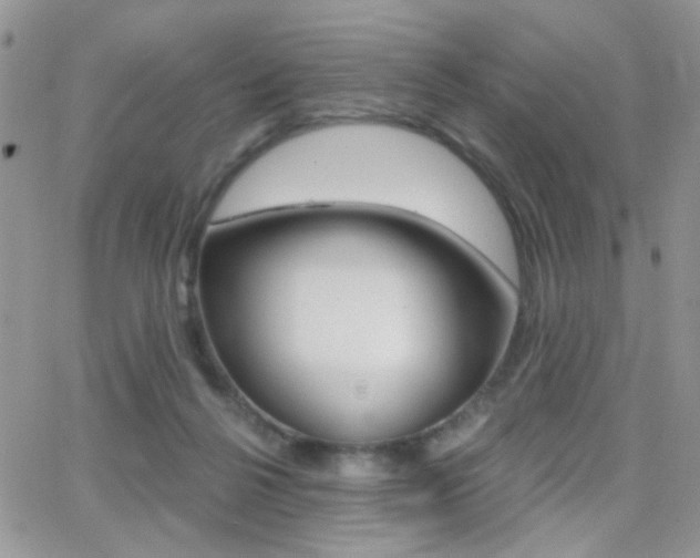 X0000066950264200603240918