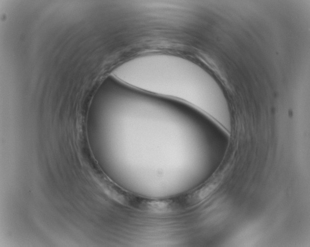 X0000066950265200603240918