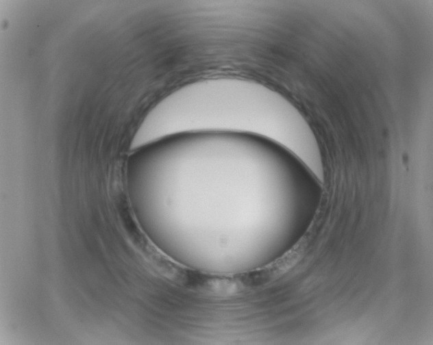 X0000066950272200603240918