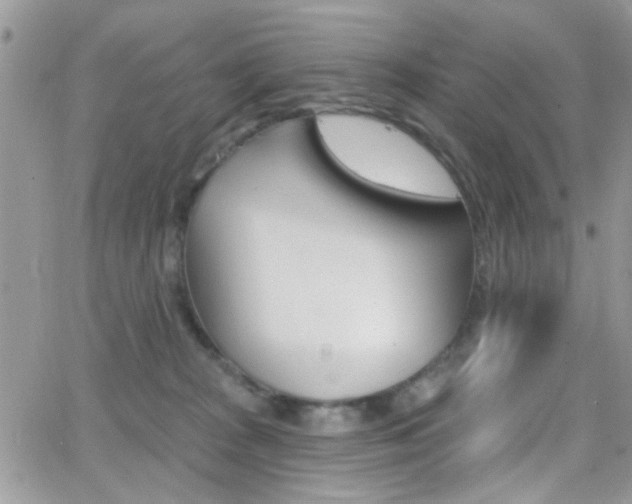 X0000066950277200603240918