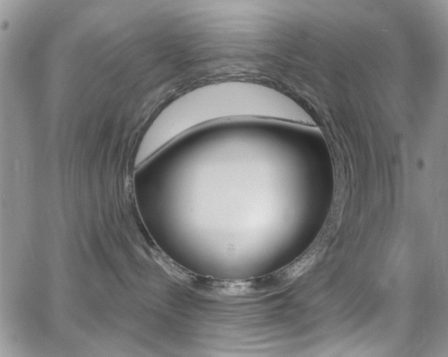 X0000066950288200603240918