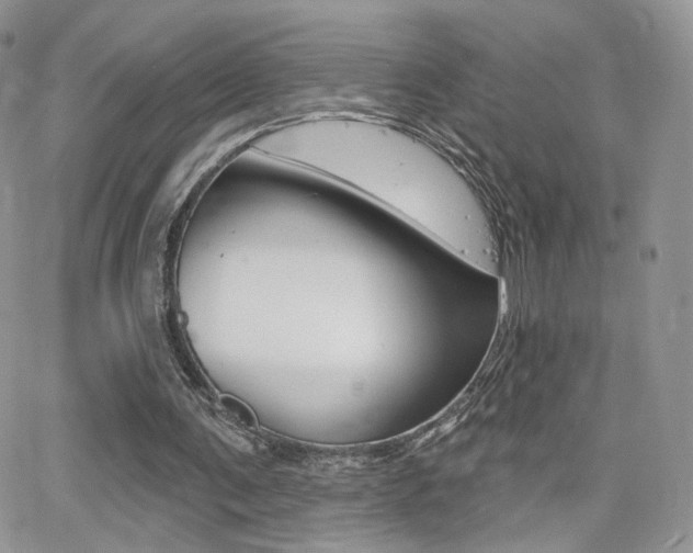 X0000066950291200603240917