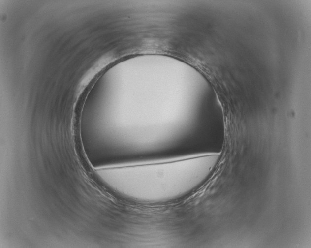 X0000066950292200603240917