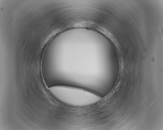 X0000066950297200603240917