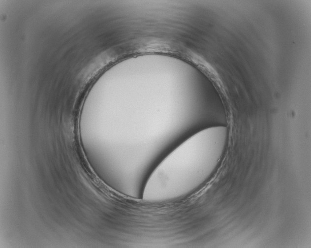 X0000066950298200603240917
