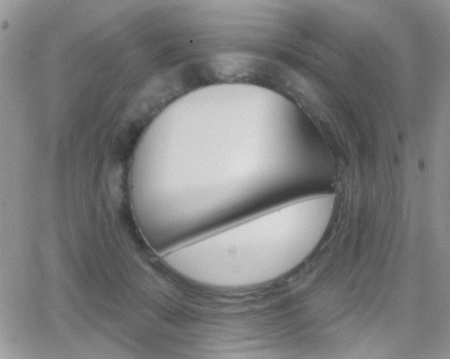 X0000066950319200603240917
