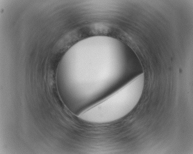 X0000066950323200603240917