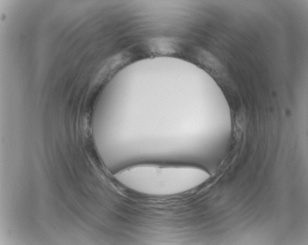 X0000066950330200603240917