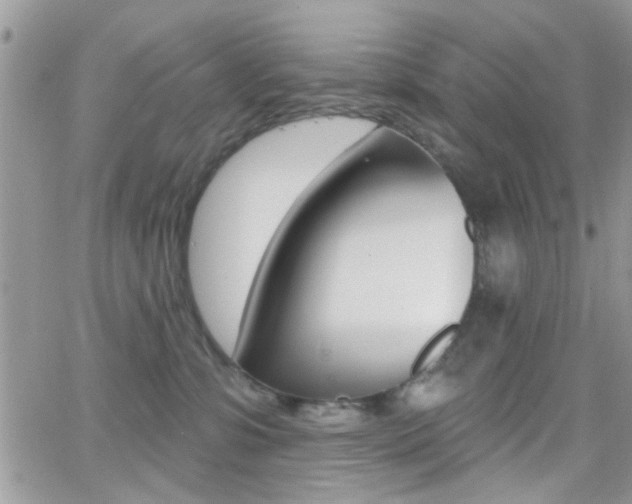 X0000066950331200603240917