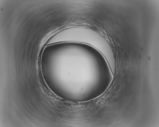 X0000066950340200603240916
