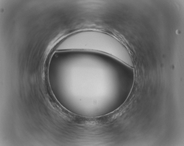 X0000066950344200603240916